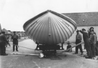 coll W Lublink coll W Lublink