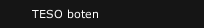 TESO boten